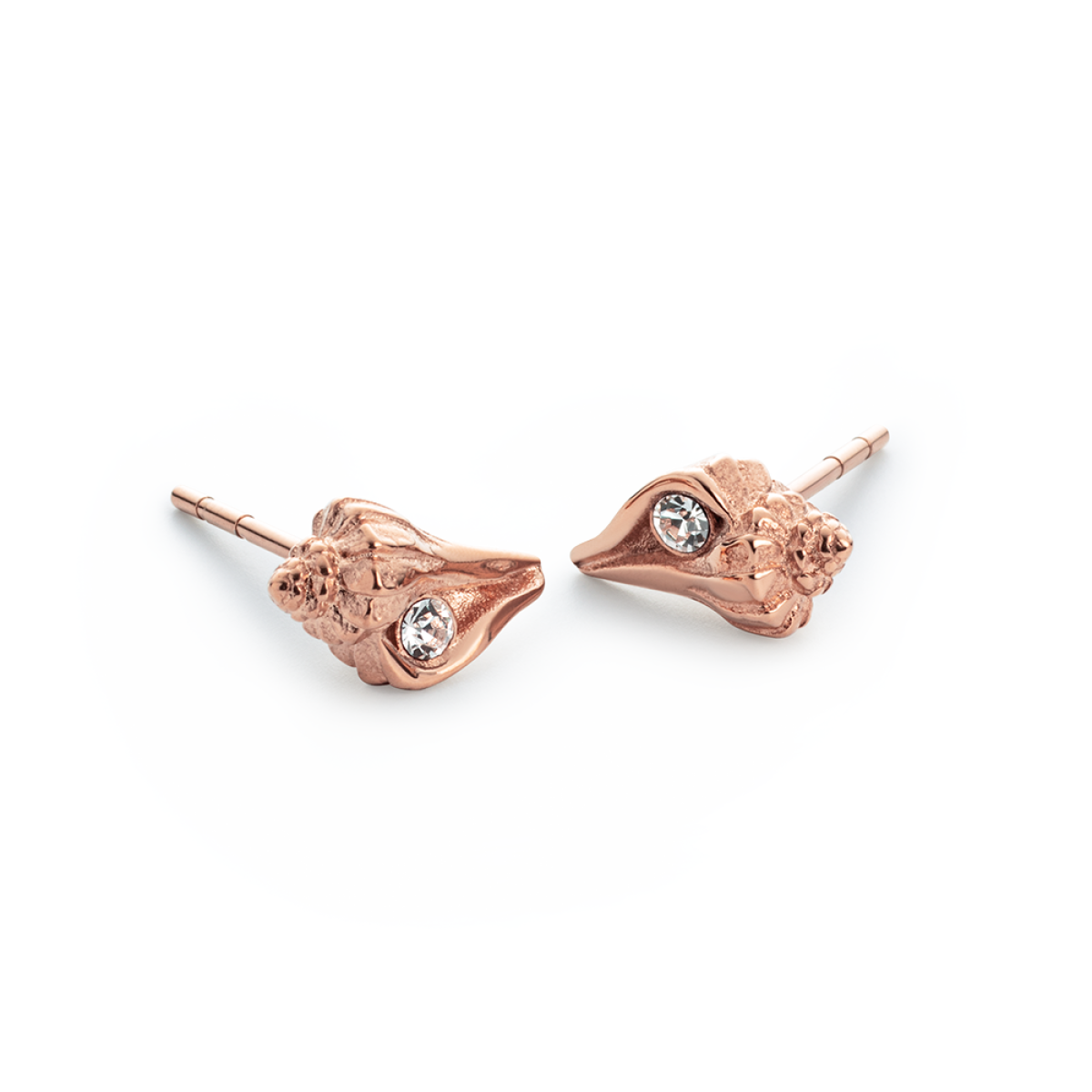 Sea Shell Ohrstecker PH-JE-0639