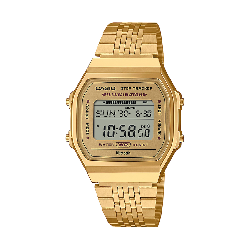 CASIO CONNECT ABL-100WEG-9AEF