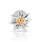 Mini Ohrstecker aus bicolor Sterling Silber, rhodiniert mit Gelbgold plattiert die den Edelweiss EG-8025