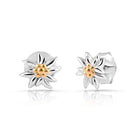 Mini Ohrstecker aus bicolor Sterling Silber, rhodiniert mit Gelbgold plattiert die den Edelweiss EG-8025