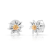 Mini Ohrstecker aus bicolor Sterling Silber, rhodiniert mit Gelbgold plattiert die den Edelweiss EG-8025