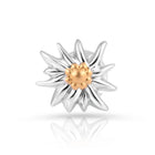Ohrstecker aus bicolor, rhodiniertem und gelbgoldplattiertem Sterling Silber die den Edelweiss EG-8015
