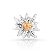 Ohrstecker aus bicolor, rhodiniertem und gelbgoldplattiertem Sterling Silber die den Edelweiss EG-8015