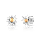 Ohrstecker aus bicolor, rhodiniertem und gelbgoldplattiertem Sterling Silber die den Edelweiss EG-8015