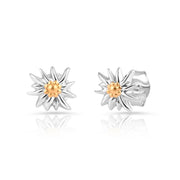 Ohrstecker aus bicolor, rhodiniertem und gelbgoldplattiertem Sterling Silber die den Edelweiss EG-8015