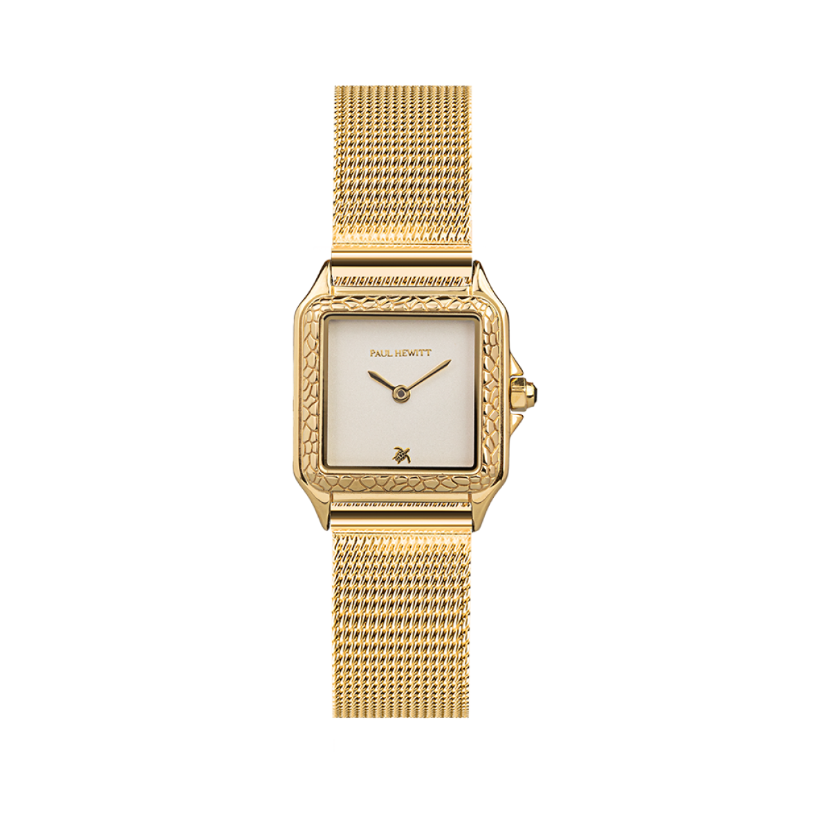 Petite Tortue PH-W-2027