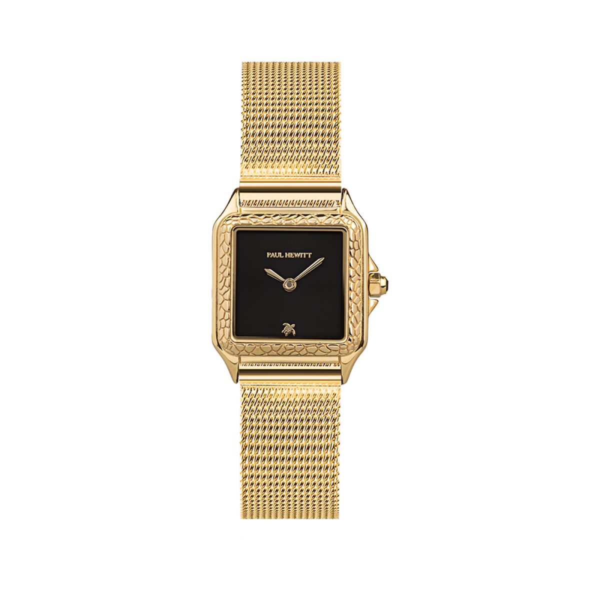 Petite Tortue PH-W-2028