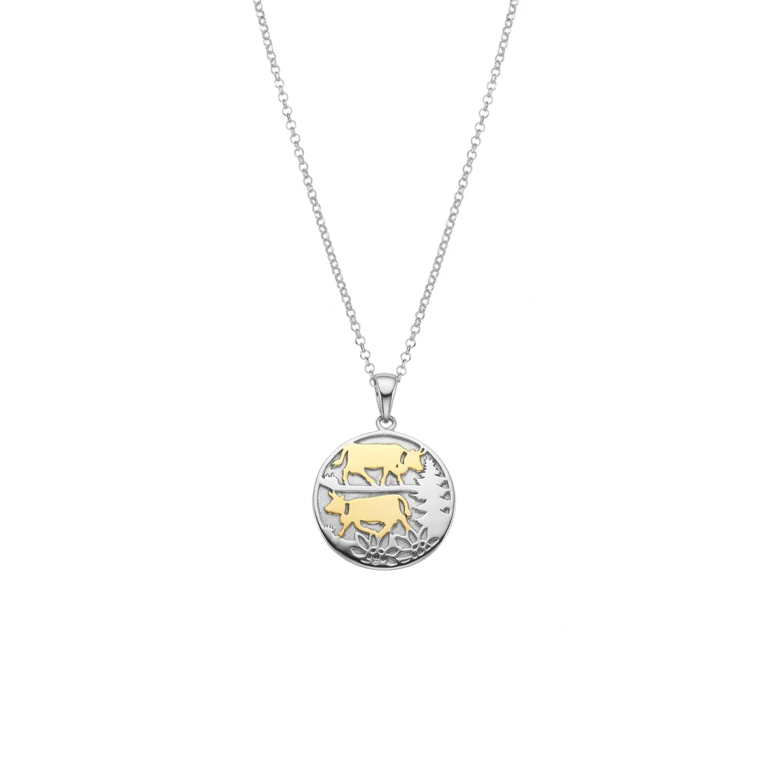 Sterlingsilber Bicolor Halskette und bombiertes Profil Anhänger mit Poya Motiv NG-7004