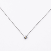 Sterlingsilber Halskette mit Bicolor poliert Mini Edelweiß Anhänger NG-8026