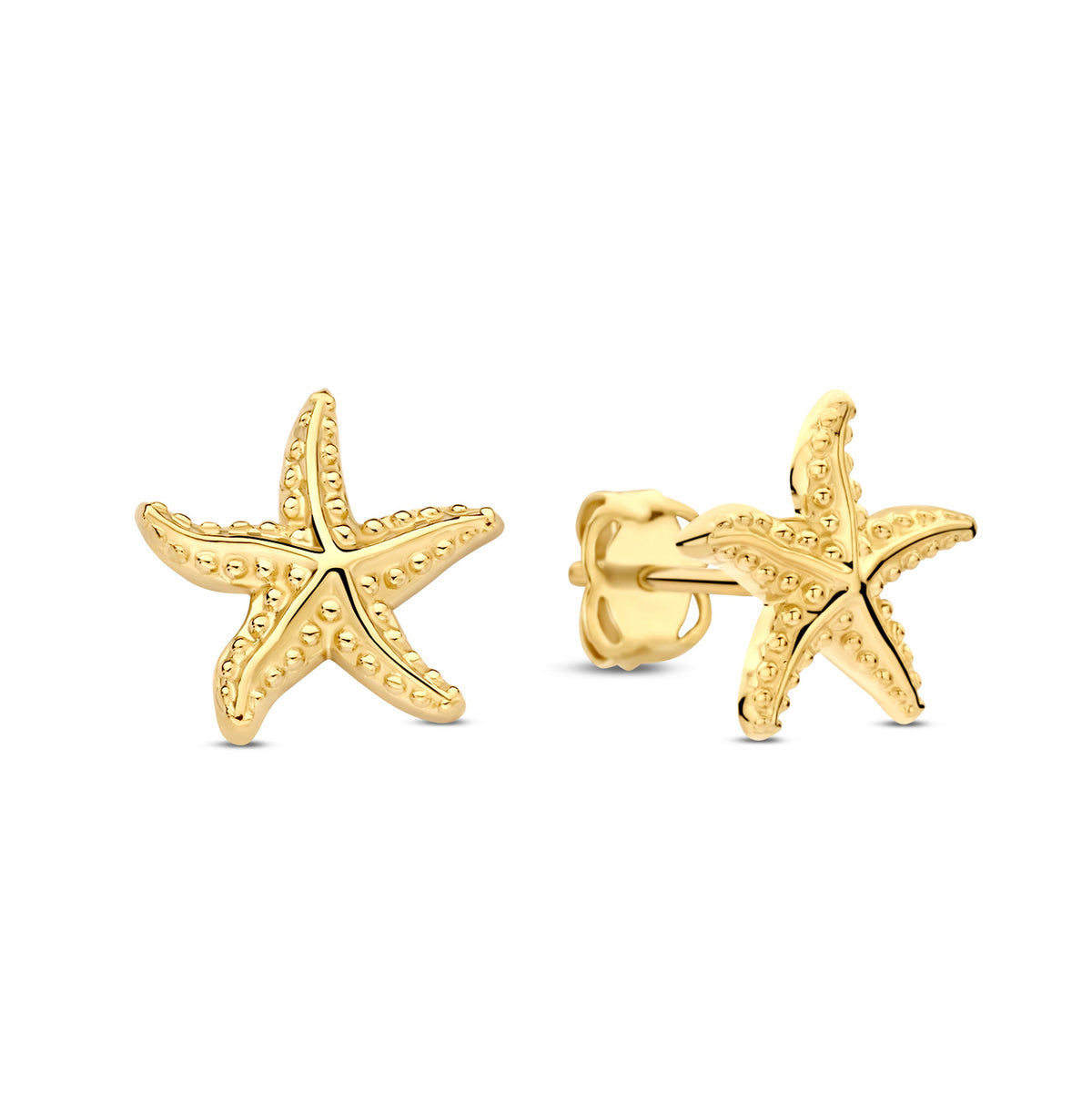 Ohrstecker Seestern Gold 585 57890