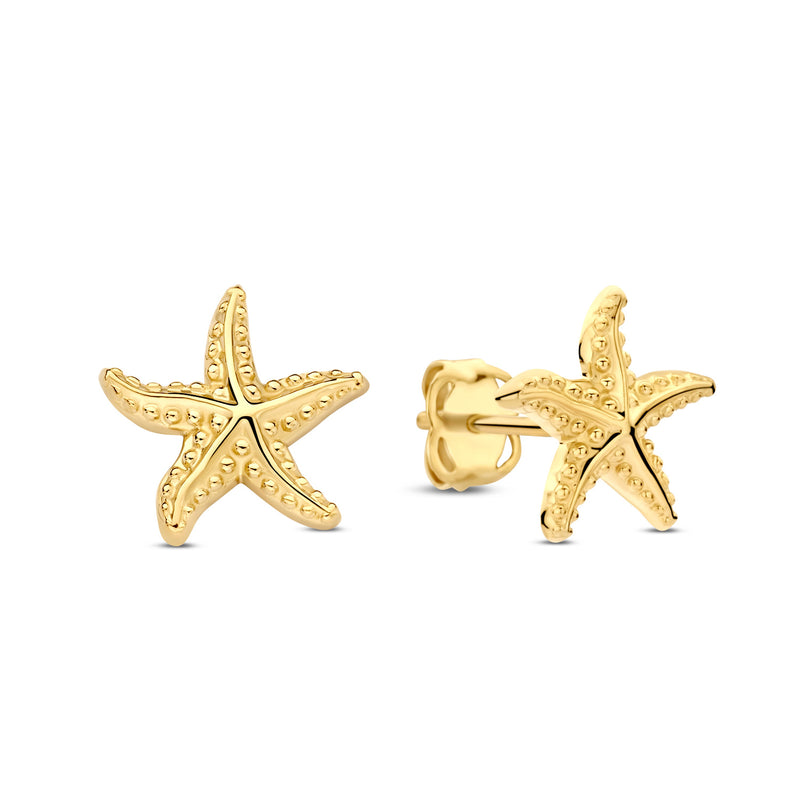 Ohrstecker Seestern Gold 585 57890