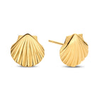 Ohrstecker Muschel Gold 585 57804