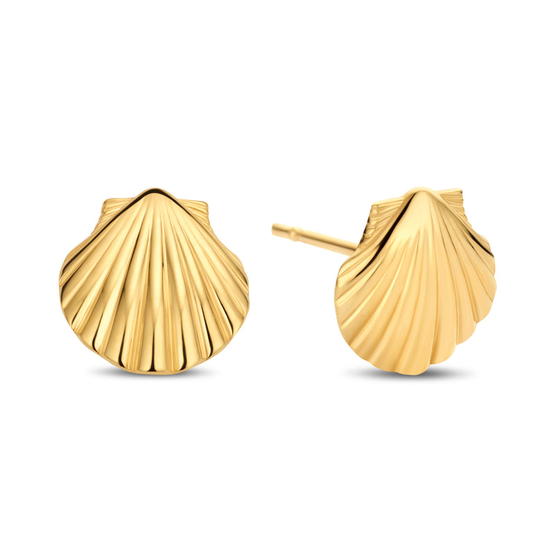 Ohrstecker Muschel Gold 585 57804